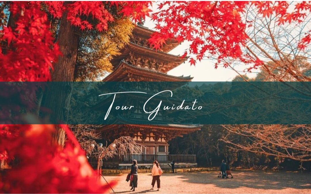 HANAMI DEL GIAPPONE – TOUR ESCLUSIVO